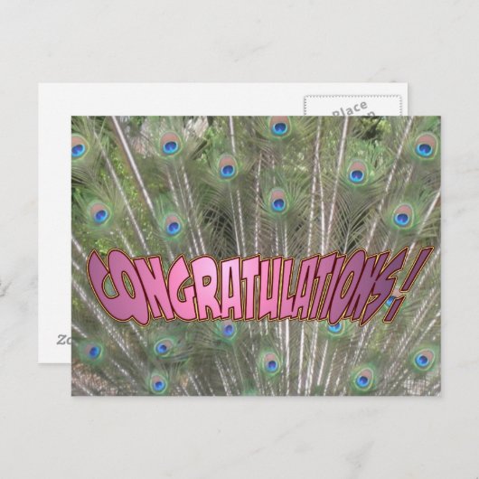 Peacock Feathers Gefeliciteerd Briefkaart Roze (Voorkant / Achterkant)