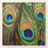 Peacock Feathers Glazen Onderzetter (Voorkant)
