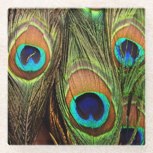 Peacock Feathers Glazen Onderzetter (Voorkant)
