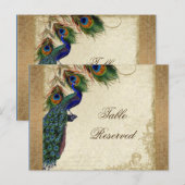 Peacock & Feathers  Gold Kijk Damask Swirl Briefkaart (Voorkant / Achterkant)