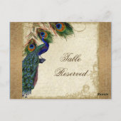 Peacock & Feathers  Gold Kijk Damask Swirl Briefkaart (Achterkant)