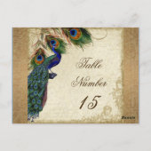 Peacock & Feathers  Gold Kijk Damask Swirl Briefkaart (Achterkant)