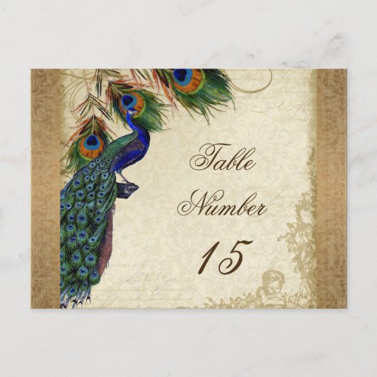 Peacock & Feathers  Gold Kijk Damask Swirl Briefkaart (Voorkant)