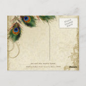 Peacock & Feathers  Gold Kijk Damask Swirl Briefkaart (Achterkant)