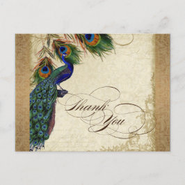 Peacock & Feathers  Gold Kijk Damask Swirl Briefkaart