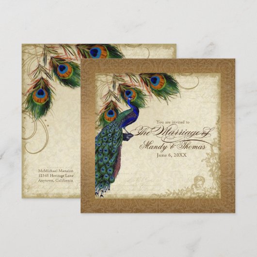 Peacock & Feathers  Gold Kijk Damask Swirl Kaart (Voorkant / Achterkant)