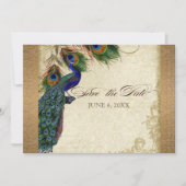 Peacock & Feathers  Gold Kijk Damask Swirl Save The Date (Voorkant)