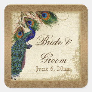 Peacock & Feathers  Gold Kijk Damask Swirl Vierkante Sticker