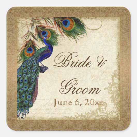 Peacock & Feathers  Gold Kijk Damask Swirl Vierkante Sticker (Voorkant)