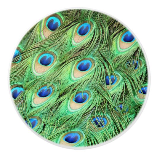 Peacock Feathers Green Bird Drawer Pulls Knols Keramische Knop (Voorkant)