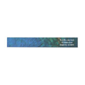 Peacock Feathers I Colorful Abstract Natuur Design (Individueel)