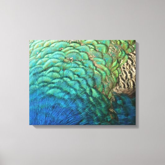 Peacock Feathers I Colorful Abstract Natuur Design Canvas Afdruk (Voorkant)
