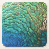 Peacock Feathers I Colorful Abstract Natuur Design Kartonnen Onderzetters (Voorkant)