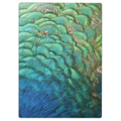 Peacock Feathers I Colorful Abstract Natuur Design Klembord (Achterkant)