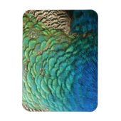 Peacock Feathers I Colorful Abstract Natuur Design Magneet (Verticaal)