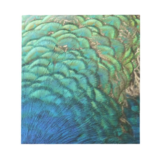 Peacock Feathers I Colorful Abstract Natuur Design Notitieblok (Voorkant)