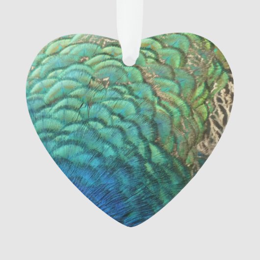 Peacock Feathers I Colorful Abstract Natuur Design Ornament (voorkant)