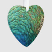 Peacock Feathers I Colorful Abstract Natuur Design Ornament (voorkant)