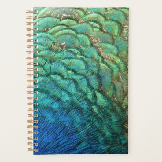 Peacock Feathers I Colorful Abstract Natuur Design Planner (Voorkant)