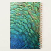 Peacock Feathers I Colorful Abstract Natuur Design Planner (Achterkant)