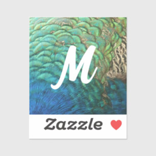 Peacock Feathers I Colorful Abstract Natuur Design Sticker