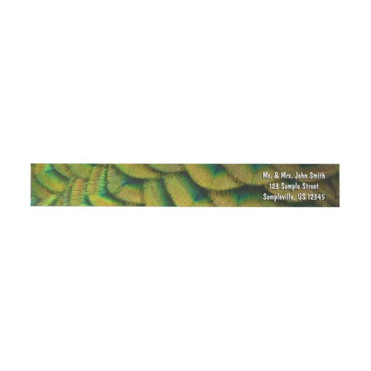 Peacock Feathers II Colorful Natuur (Individueel)