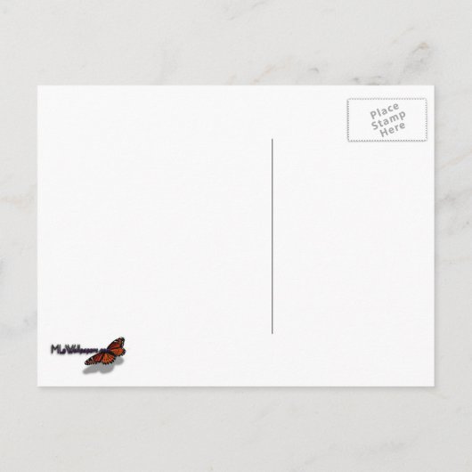 Peacock Feathers II Colorful Natuur Briefkaart (Achterkant)