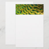 Peacock Feathers II Colorful Natuur Briefpapier (Voorkant / Achterkant)