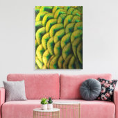 Peacock Feathers II Colorful Natuur Canvas Afdruk (Insitu (Woonkamer))
