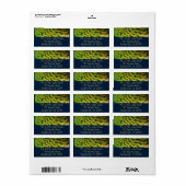 Peacock Feathers II Colorful Natuur Etiket (Full Sheet)
