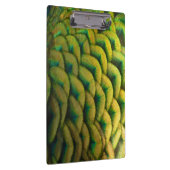 Peacock Feathers II Colorful Natuur Klembord (Rechts)