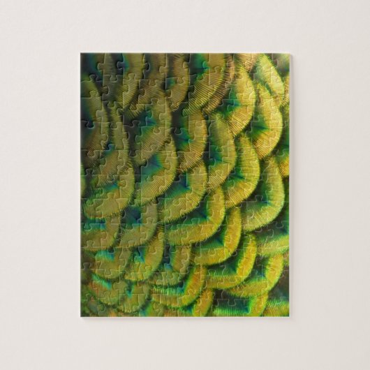 Peacock Feathers II Colorful Natuur Legpuzzel (Verticaal)