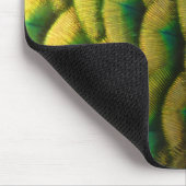 Peacock Feathers II Colorful Natuur Muismat (Hoek)