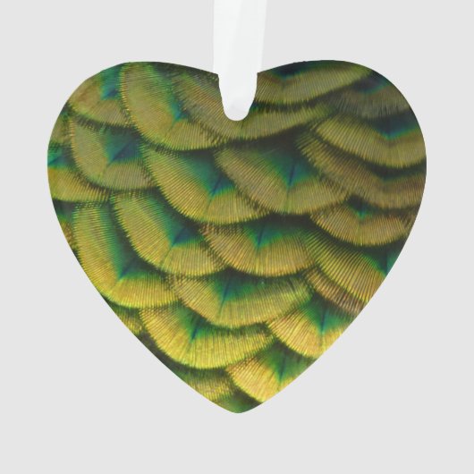 Peacock Feathers II Colorful Natuur Ornament (achterkant)