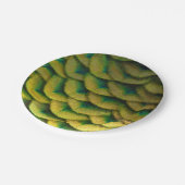 Peacock Feathers II Colorful Natuur Papieren Bordje (Gekanteld)