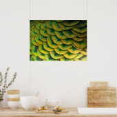 Peacock Feathers II Colorful Natuur Poster (Keuken)