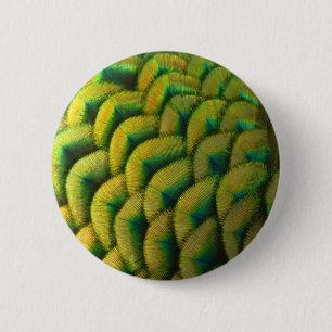 Peacock Feathers II Colorful Natuur Ronde Button 5,7 Cm