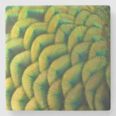 Peacock Feathers II Colorful Natuur Stenen Onderzetter (Voorkant)