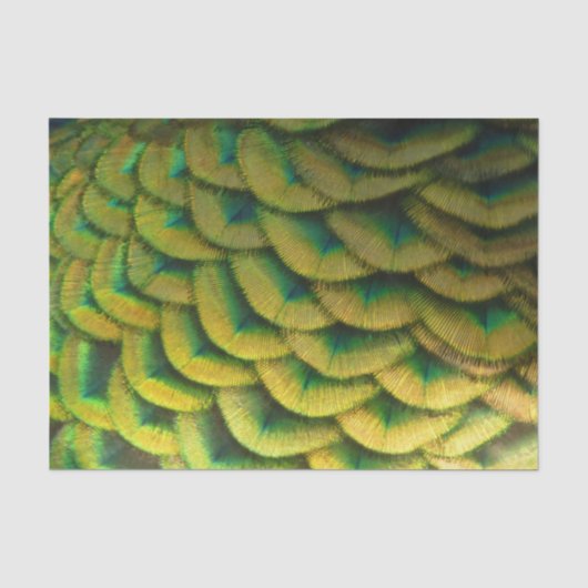 Peacock Feathers II Colorful Natuur Tissuepapier (Voorkant)