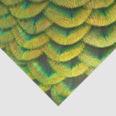 Peacock Feathers II Colorful Natuur Tissuepapier (Detail)