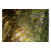 Peacock Feathers III (Vrouw) Subtle Natuur Design (Voorkant Horizontaal)