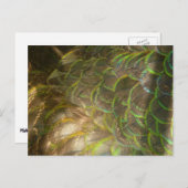 Peacock Feathers III (Vrouw) Subtle Natuur Design Briefkaart (Voorkant / Achterkant)
