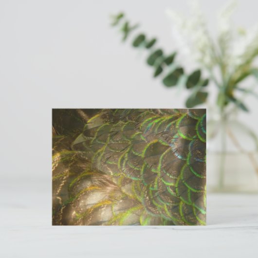 Peacock Feathers III (Vrouw) Subtle Natuur Design Briefkaart (Staand voorkant)