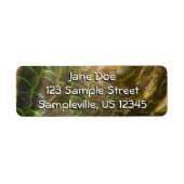 Peacock Feathers III (Vrouw) Subtle Natuur Design Etiket (Voorkant)