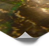 Peacock Feathers III (Vrouw) Subtle Natuur Design Poster (Hoek)