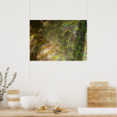 Peacock Feathers III (Vrouw) Subtle Natuur Design Poster (Keuken)