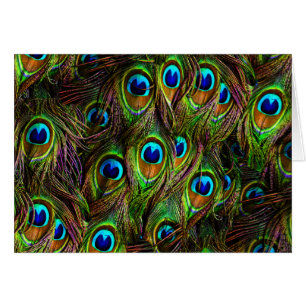 Peacock Feathers Invasion