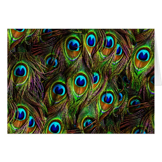 Peacock Feathers Invasion (Voorkant Horizontaal)