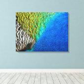 Peacock Feathers IV Kleurrijke Abstracte Natuur Canvas Afdruk (Insitu (Houten vloer))