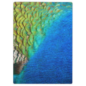 Peacock Feathers IV Kleurrijke Abstracte Natuur Klembord (Achterkant)